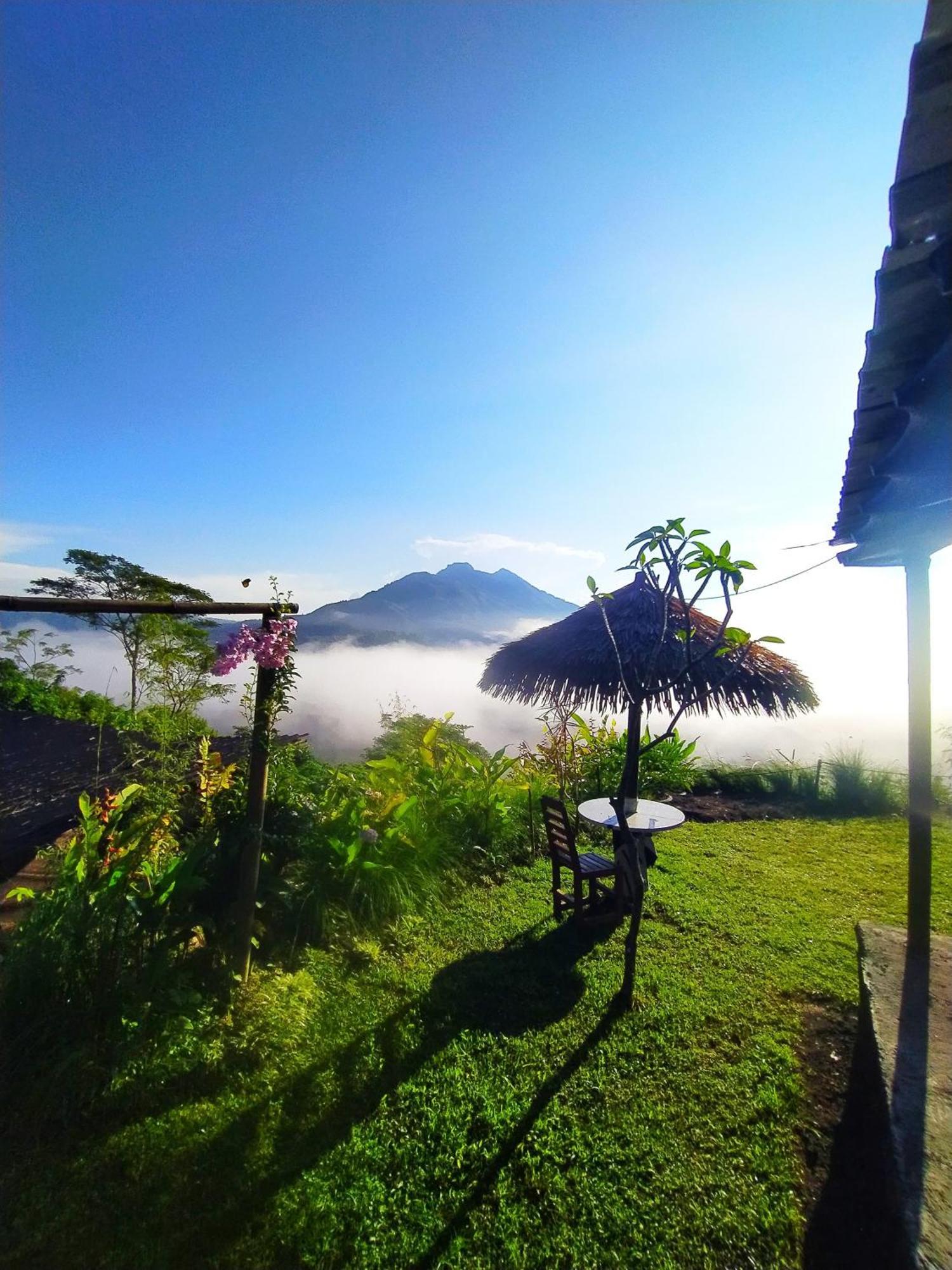 Kintamani Adventures 'Hide In Nature Lodge' Εξωτερικό φωτογραφία